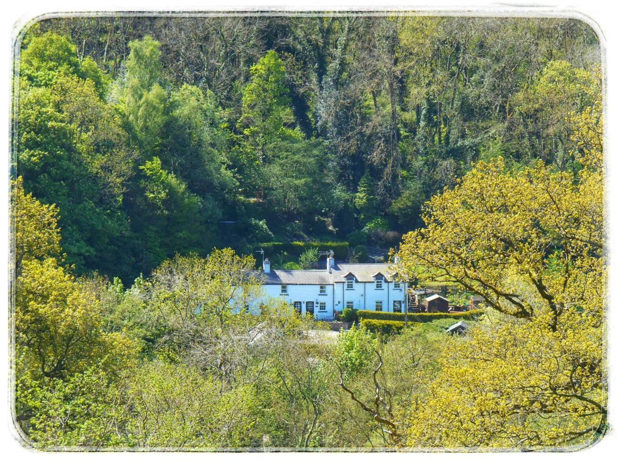 River Cottage St Asaph Esterno foto