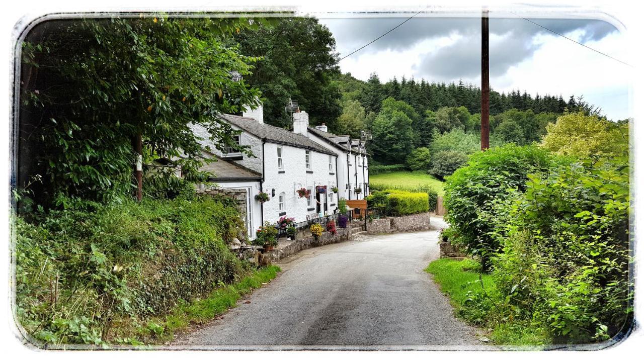 River Cottage St Asaph Esterno foto